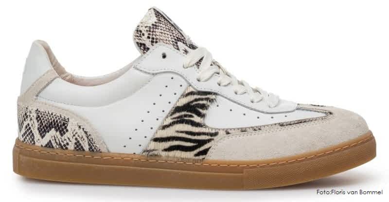 animal prints sneaker